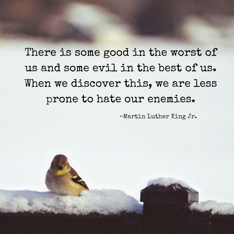 there-is-some-good-in-the-worst-of-us-and-some-evil-in-the-best-of-us-when-we-discover-this-we-are-less-prone-to-hate-our-enemies-martin-luther-king-jr